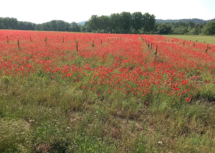 Le Refuge De Sissou
