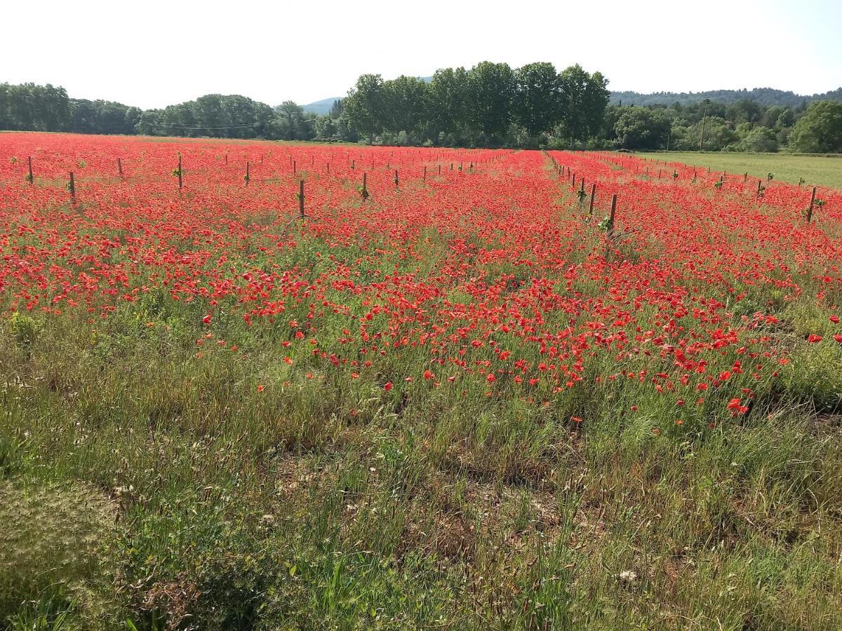 Le Refuge De Sissou Homestay